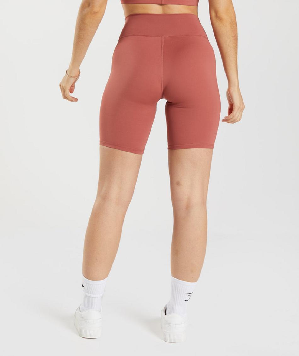 Pantalones Cortos Gymshark Elevate Cycling Mujer Rosas Marrones | CO 2667AHK